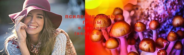 гидропоника Абаза