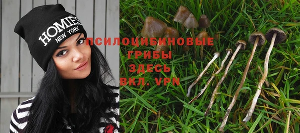трава Абинск