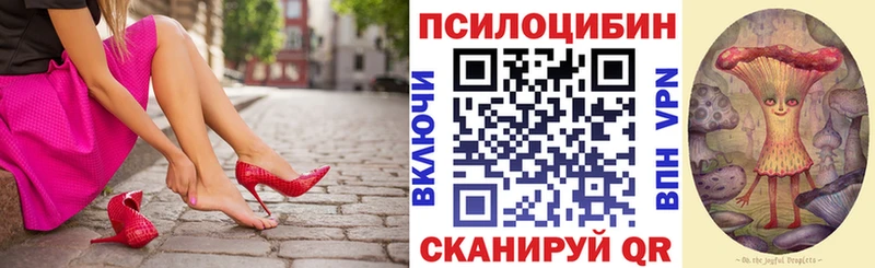 Галлюциногенные грибы мицелий  omg зеркало  Тбилисская  продажа наркотиков 