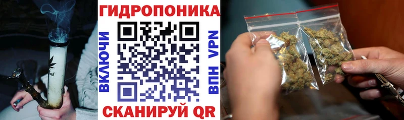 кракен ссылки  Тбилисская  МАРИХУАНА THC 21%  наркошоп 
